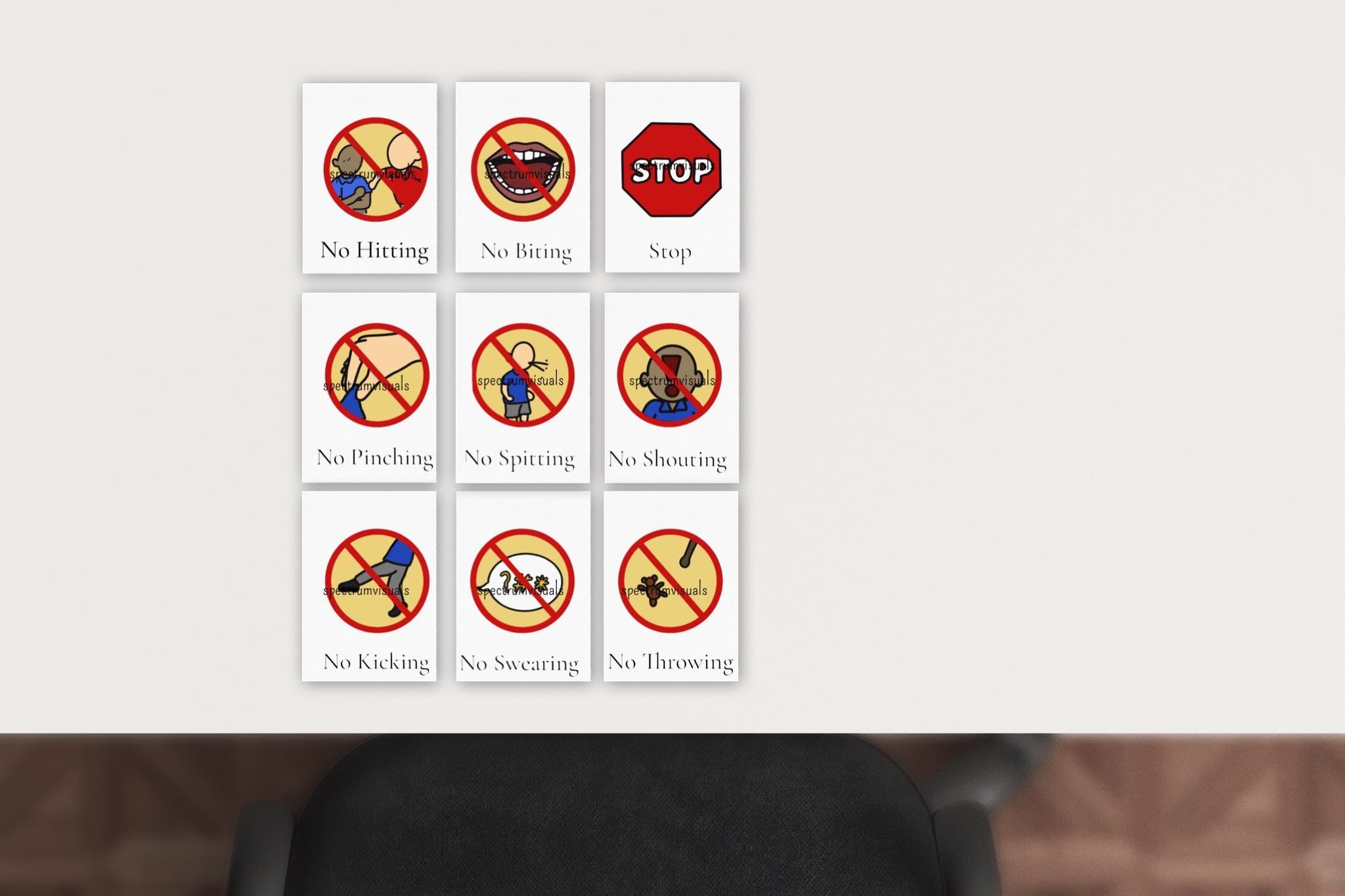 9pk Managing Behavior Prompts