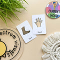 18pk Parts of the Body Flashcards