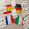 Modern Foreign Languages Flashcards